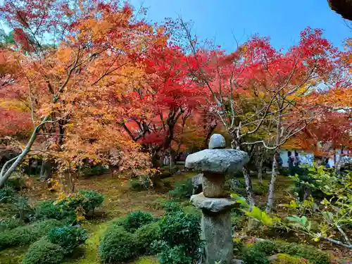 圓光寺の庭園