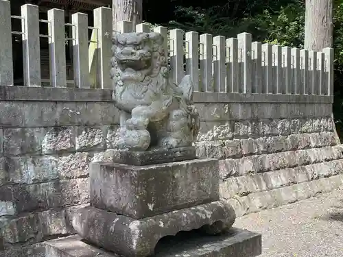 津島神社の狛犬