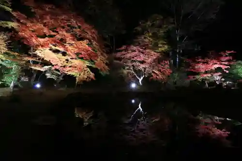 真照寺の庭園