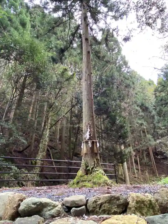 韓竈神社(島根県)