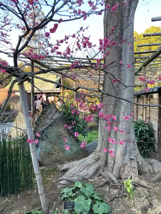 上野東照宮(東京都)