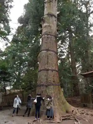 高千穂神社(宮崎県)