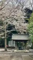 石神井氷川神社(東京都)