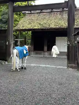 伊勢神宮外宮（豊受大神宮）(三重県)