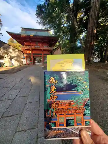 鹿島神宮(茨城県)