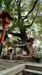 若一神社(京都府)