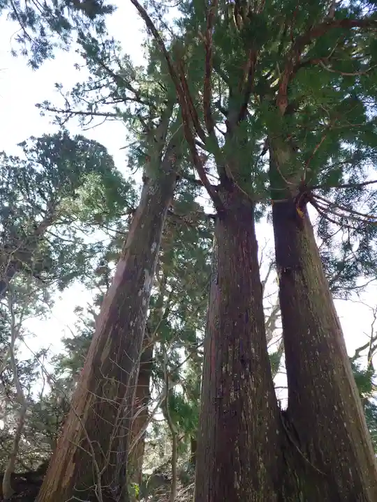 大神山神社奥宮(鳥取県)