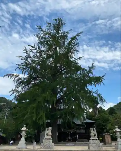 賀羅加波神社の本殿