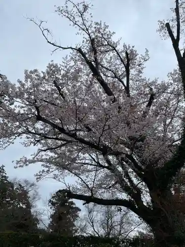 御寺 泉涌寺(京都府)