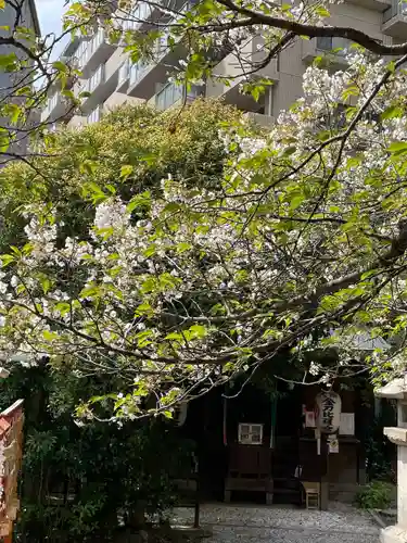 大綱金刀比羅神社(神奈川県)