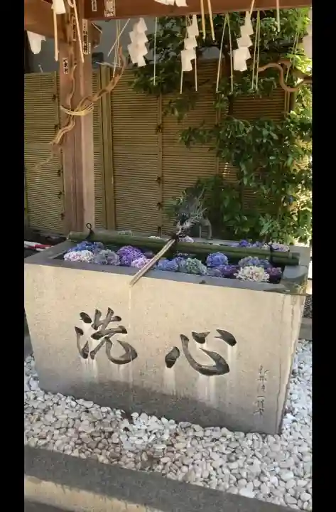 蛇窪神社の{uncategorized: "未分類", other: "その他", undefined: "問題あり", building: "その他建物", grave: "お墓", sacred_gate: "鳥居", guardian: "狛犬", statue: "像", buddha: "仏像", history: "歴史", nature: "自然", garden: "庭園", animal: "動物", pagoda: "塔", temizu: "手水舎", mountain_gate: "山門・神門", sanctuary: "本殿・本堂", subordinate: "末社・摂社", art: "芸術", scenery: "景色", jizo: "地蔵", ema: "絵馬", goshuin: "御朱印", omikuji: "おみくじ", items: "授与品その他", amulet: "お守り", goshuincho: "御朱印帳", eats: "食事", festival: "お祭り", votive_dance: "神楽", shichigosan: "七五三参", wedding: "結婚式", experience: "体験その他", initially: "初詣", around: "周辺", anti_infection: "感染症対策"}