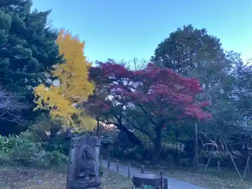 安國論寺（安国論寺）(神奈川県)