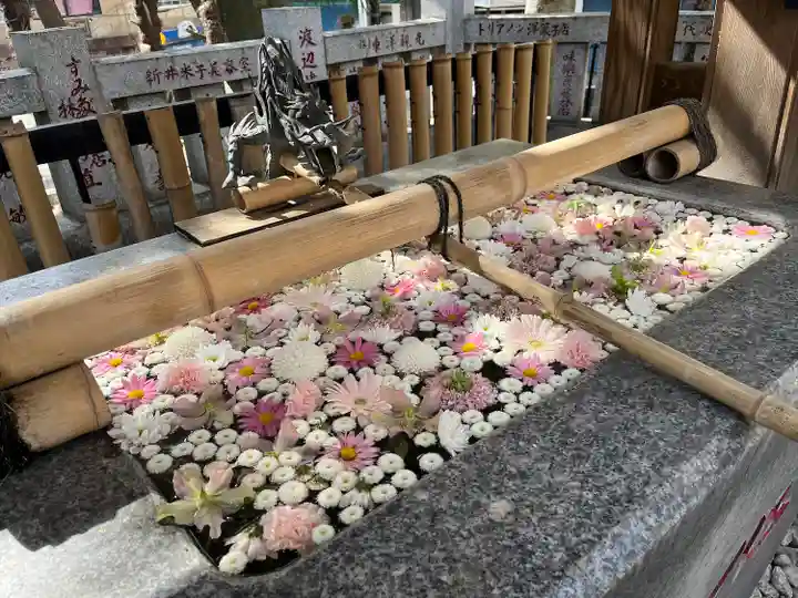 高円寺氷川神社の手水舎