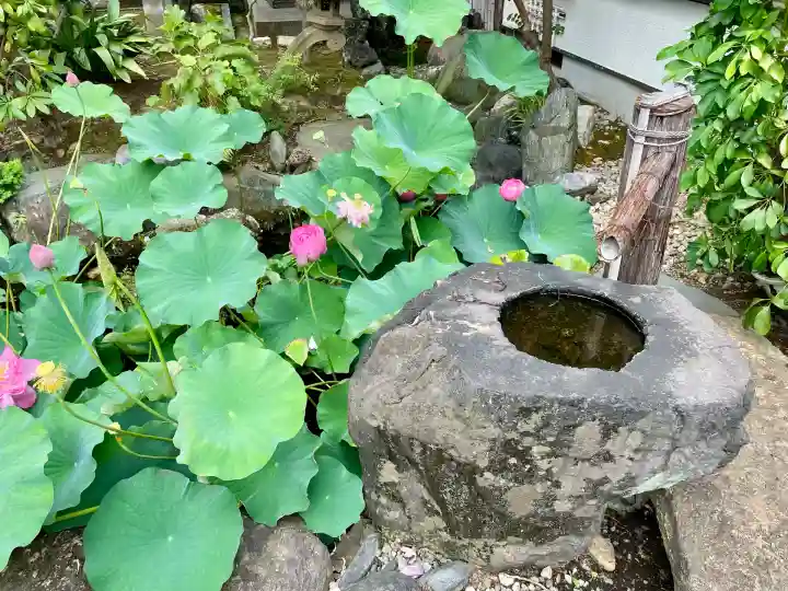 普門院(神奈川県)