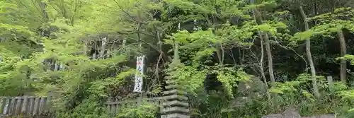 犬山寂光院の景色