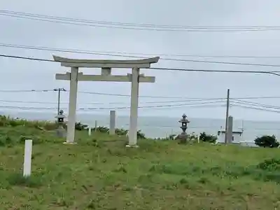 氷川神社の鳥居