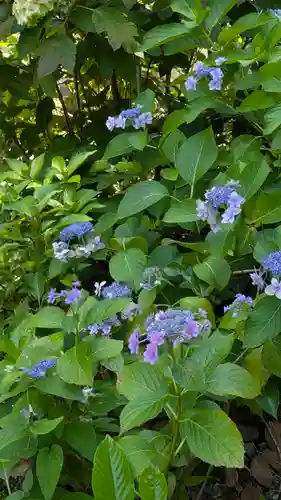 本法寺(京都府)