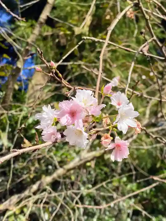 下野 星宮神社(栃木県)