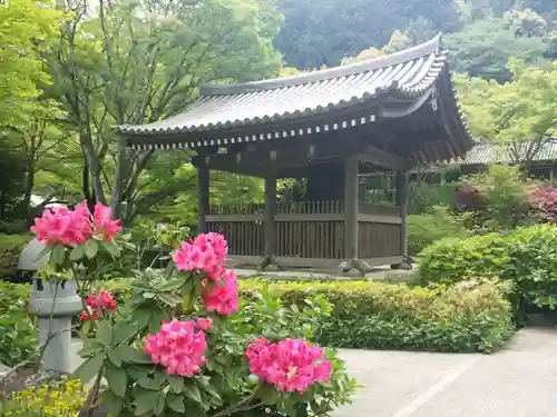 久安寺の自然