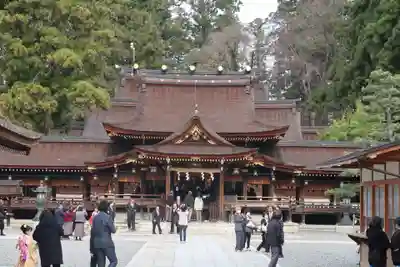 多賀大社の本殿・本堂