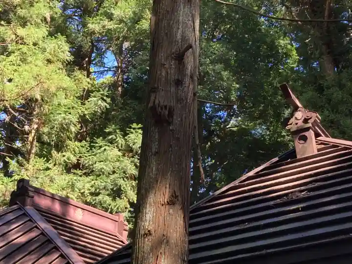 香取神社(茨城県)