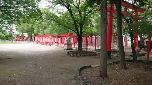 於菊稲荷神社の鳥居