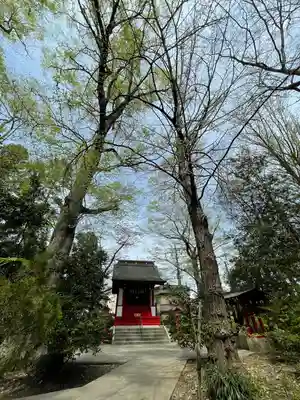 秩父神社(埼玉県)
