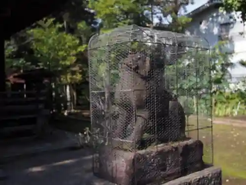 御霊神社の狛犬