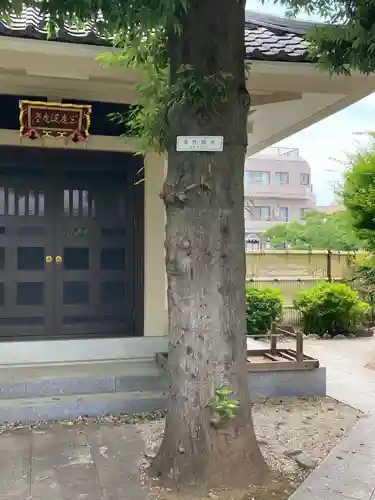 円光院(東京都)