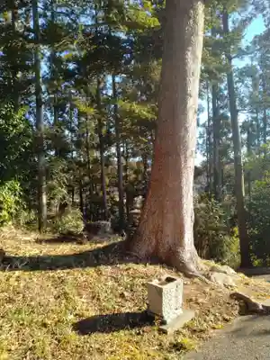 熊野神社(宮城県)