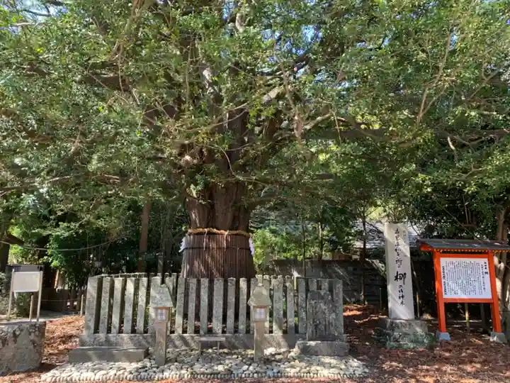 熊野速玉大社の自然