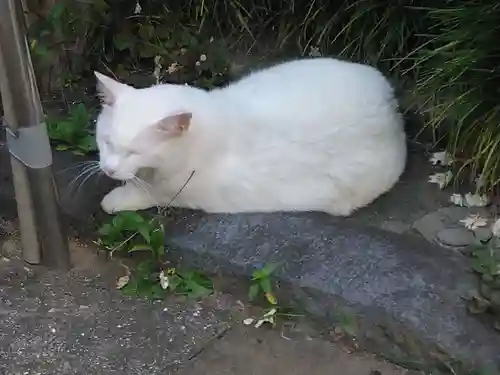 久國神社(東京都)