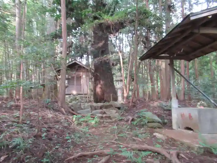 八幡神社(東京都)