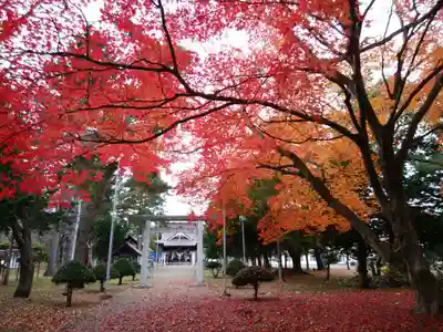 上湧別神社の自然