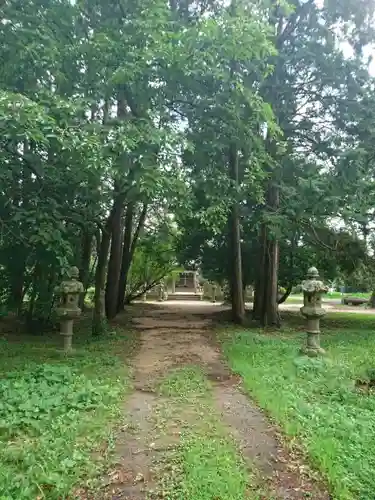 天橋立神社の自然