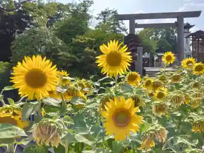 伊勢山皇大神宮(神奈川県)