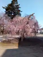 法運寺(宮城県)