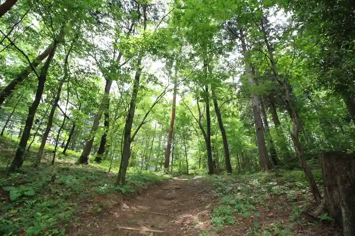 秋葉神社(埼玉県)