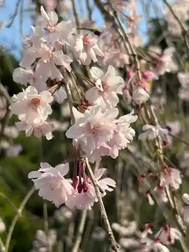 金蛇水神社(宮城県)
