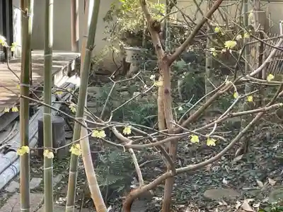 遠照山 光明寺（尼崎大仏）(兵庫県)