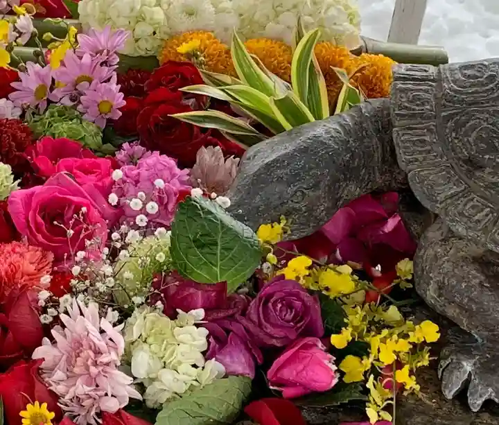 杉杜白髭神社の手水舎