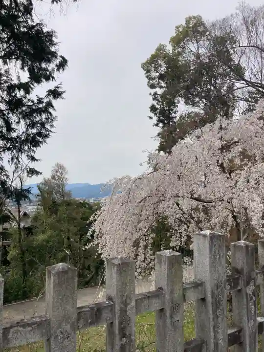 吉田神社(京都府)
