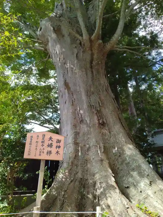鹿島御子神社(福島県)