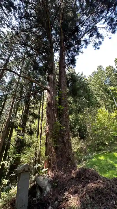 朝日山 相応院 置賜二十七番札所(山形県)