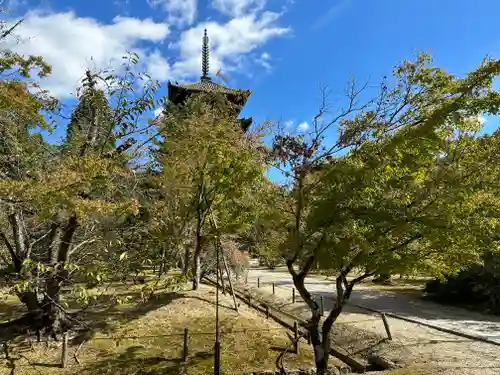 仁和寺(京都府)