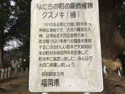 大分八幡宮(福岡県)