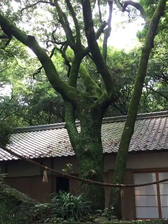 花窟神社の自然