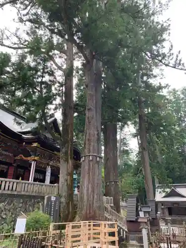 三峯神社の自然