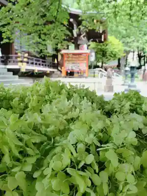 熊野神社(東京都)
