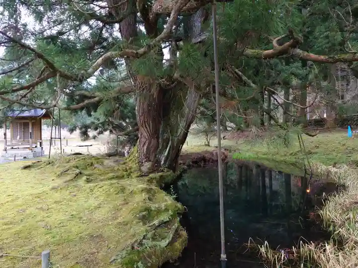 一本杉神社(島根県)